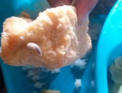 Viral Video Belatung di Menu MBG di Sempu Banyuwangi, Pihak SPPG Buka Suara
