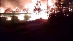 Kebakaran Dua Kandang Ayam di Banyuwangi, 28 Ribu Ekor Ayam Mati Terpanggang