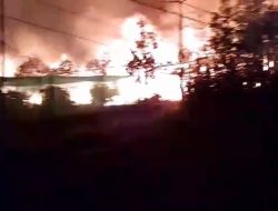 Kebakaran Dua Kandang Ayam di Banyuwangi, 28 Ribu Ekor Ayam Mati Terpanggang