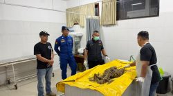 Geger! Kerangka Manusia Tanpa Kepala Ditemukan di Pantai Mustika Banyuwangi
