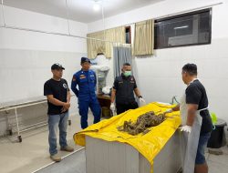 Geger! Kerangka Manusia Tanpa Kepala Ditemukan di Pantai Mustika Banyuwangi