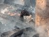 Banyuwangi Dikepung Kebakaran Lahan, 4 Kambing Mati Terpanggang