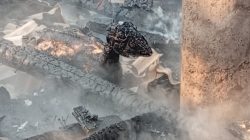 Banyuwangi Dikepung Kebakaran Lahan, 4 Kambing Mati Terpanggang