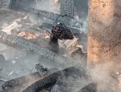 Banyuwangi Dikepung Kebakaran Lahan, 4 Kambing Mati Terpanggang
