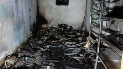 Gudang Ponpes Miftahul Ulum Wongsorejo Terbakar, Alat Drumband hingga Perabot Hangus